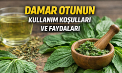 Damar Otu (Sinir Otu) Nedir? Faydaları Neler, Hangi Hastalıklara İyi Gelir?