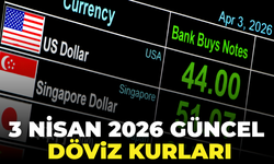 3 Nisan 2026 Döviz Kurları Ne Kadar Oldu?