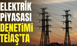 TEİAŞ Elektrik Piyasasının Denetim Yetkisini Aldı