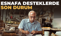 Esnaf ve KOBİ Destekleri Genişliyor mu?