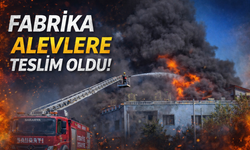 Fabrika alevlere teslim oldu