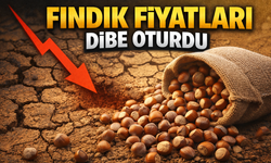 Fındık fiyatları dibe oturdu