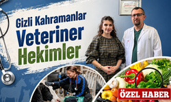 Sofradaki Güvenin Gizli Kahramanları: Veteriner Hekimler