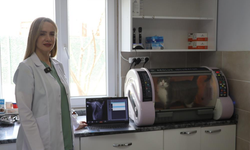 Sokak Kedisi “Kral” Başarılı Operasyonla Kurtarıldı