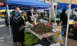 Şifa Kaynağı Kaldirik Otu Tezgahlarda