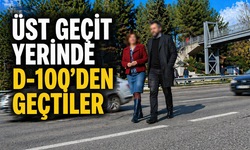 Üst Geçit Varken Bariyerden Atladılar