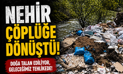 Sakarya Nehri Kıyısında Çevre Felaketi