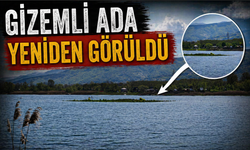 Sapanca Gölü’nde Sular Çekildi, “Ada” Yeniden Ortaya Çıktı!