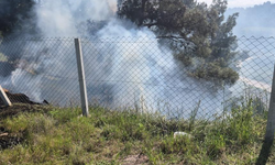 Tarlada Yakılan Ateş Ormana Sıçradı! Türbe Çevresinde Korkutan Yangın