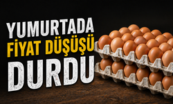 Yumurta Fiyatlarında Sürpriz Artış! Düşüş Dönemi Sona Eriyor