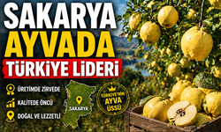 Sakarya Ayvada Türkiye Lideri Oldu