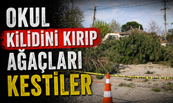 Kapıyı kırıp ağacı kökünden kestiler