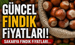 15 Nisan 2026 Güncel fındık fiyatları!