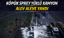 Köpük sprey yüklü kamyon alev alev yandı