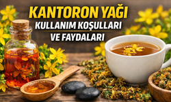 Kantaron Yağının Faydaları Neler, Hangi Hastalıklara İyi Gelir, Nasıl Kullanılır?