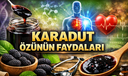 Karadut Özünün Faydaları Neler, Nasıl Tüketilir?