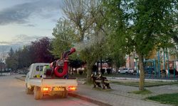 Kırklareli'nde haşere ve sineklere karşı ilaçlama