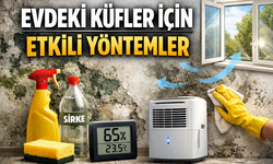 Evde Küf ve Nem Nasıl Önlenir?