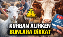 Kurban Alırken Bu Hataları Yapmayın: Uzmanlardan Kritik Uyarılar