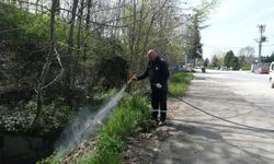 Sapanca’da Larva ile Mücadele Çalışmaları Başladı