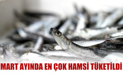 Mart ayında en çok hamsi tüketildi