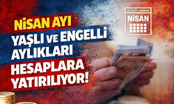 Nisan Ayı Yaşlı ve Engelli Aylıkları Hesaplara Yatırılıyor
