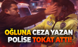 Oğluna ceza yazan polise tokat attı!