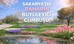 Sakarya’da baharın büyüleyici cümbüşü