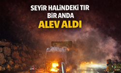 Seyir halindeki tır bir anda alev aldı