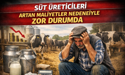 Süt Üreticileri Artan Maliyetler Nedeniyle Zor Durumda