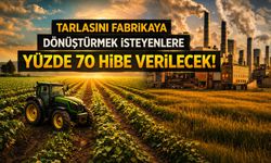 Tarlasını fabrikaya çevirene hibe!