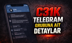 C31K Telegram kanalı nedir, Kaç Üyesi Var, Neler Konuşuluyor?