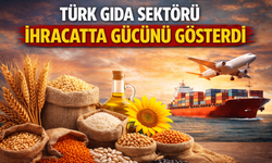 Türkiye’nin Hububat İhracatı İlk Çeyrekte 2,8 Milyar Dolar Oldu