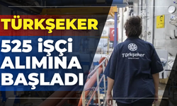 Türkşeker 525 İşçi Alımı Başladı: Şartları ve Kadrolar Açıklandı