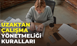 Uzaktan Çalışma Yönetmeliği Kuralları Neler?