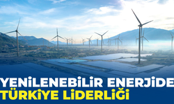 Temiz Enerji Yatırımları Türkiye’yi Liderliğe Taşıdı