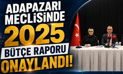 Adapazarı Meclisinde 2025 Bütçe Raporu Onaylandı