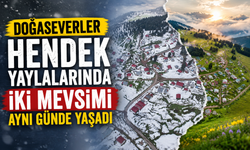 Doğaseverler Hendek yaylalarında iki mevsimi aynı günde yaşadı
