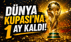 Dünya Kupası'na 1 ay kaldı