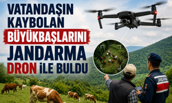 Vatandaşın kaybolan büyükbaşlarını jandarma dron ile buldu