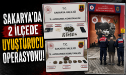 2 ilçede uyuşturucu operasyonu: 2 tutuklama