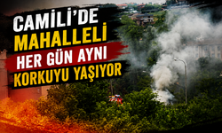 Camili'de Mahalleli Her Gün Aynı Korkuyu Yaşıyor