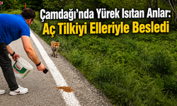 Hendek Çamdağı’nda Yürek Isıtan Anlar: Aç Tilkiyi Elleriyle Besledi