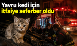 Yavru kedi için itfaiye seferber oldu