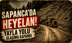 Sapanca’da heyelan! Yayla yolu ulaşıma kapandı