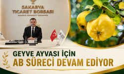 Geyve Ayvası İçin AB Süreci Devam Ediyor