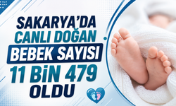 Sakarya’da canlı doğan bebek sayısı 11 bin 479 oldu