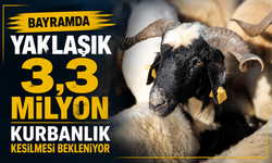 Bayramda 3,3 Milyon Kurbanlık Kesimi Bekleniyor