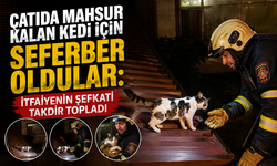 Çatıda Mahsur Kalan Kedi İçin Seferber Oldular: İtfaiyenin Şefkati Takdir Topladı