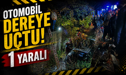 Serdivan’da Otomobil Dereye Uçtu: 1 Kişi Yaralandı